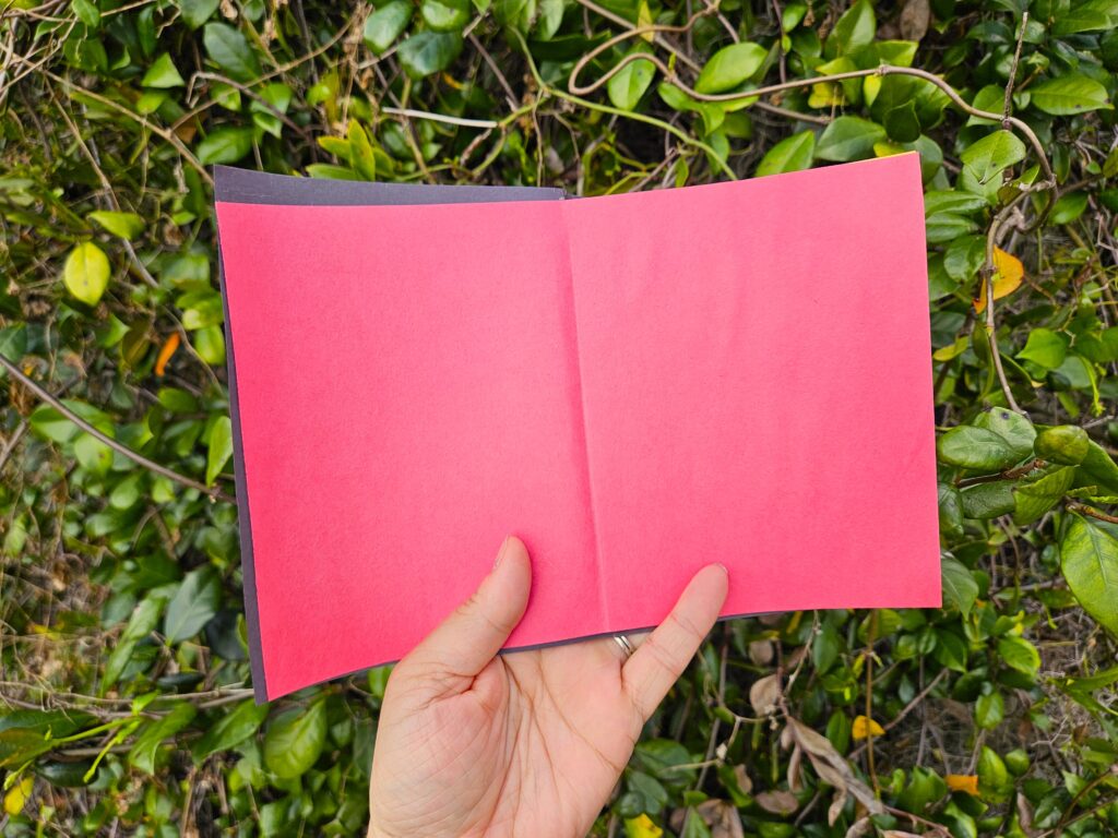 Jesus' blood (red) is what pays the penalty for our sin. 